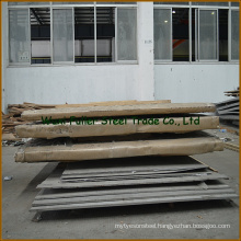 High Quality Hot Rolled 304 Stainless Steel Sheet/Plate